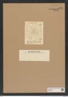 Asteromphalus hiltonianus (Grev.) Ralfs. (de-Toni-Nr.: Genus 236, Species 5695) Zeichnungen Sammlung Grunow Nr. 9697 (NHMW-BOT-W0379637)